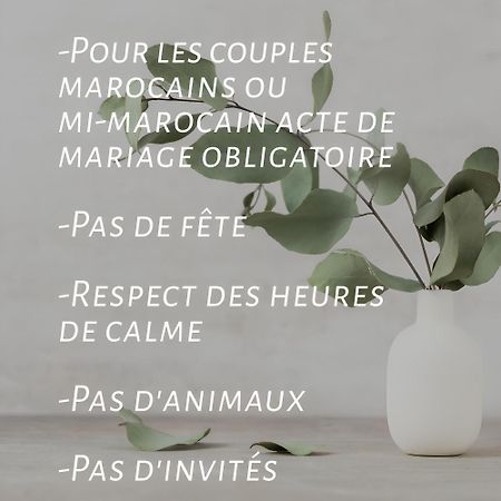 Yacout Appartement Majorelle 马拉喀什 外观 照片